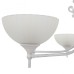 Потолочная люстра Arte Milano 340049/6 WT+SL