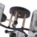 Потолочная люстра Arte Milano Amalfi 324308/3 BK+FG