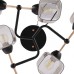 Потолочная люстра Arte Milano Amalfi 324308/6 BK+FG