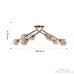 Потолочная люстра Arte Milano Amalfi 252588/8 Br