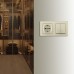 Блок с розеткой и выключателем Arte Milano SET06-2 SET06-2-30-2-40-1 shampan