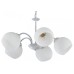Подвесная люстра Arte Milano Amalfi-5010 335010/5 WT+SL