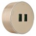 Розетка 2xUSB на треке Arte Milano Am-track-sockets 380011TS/USBx2 Gold