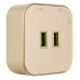 Розетка 2xUSB на треке Arte Milano Am-track-sockets 380022TS/USBx2 Gold