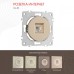 Розетка Ethernet RJ-45 без рамки Arte Milano am-202 202.45-1.shampan