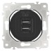 Розетка USB, без рамки Arte Milano am-202 202.46-1.black