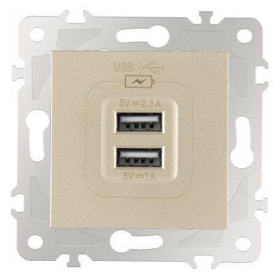 Розетка USB, без рамки Arte Milano am-203 203.46-1.shampan