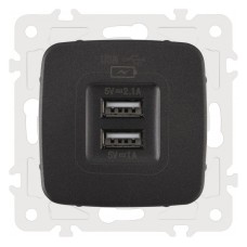 Розетка USB, без рамки Arte Milano am-205 205.46-1.black