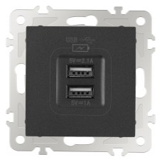 Розетка USB, без рамки Arte Milano am-206 206.46-1.black