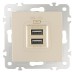 Розетка USB, без рамки Arte Milano am-206 206.46-1.shampan