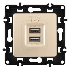 Розетка USB, без рамки Arte Milano am-217 217.46-1.shampan