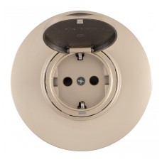 Розетка с заземлением и шторкой, с крышкой Arte Milano SET08-1 SET08-1-41-1 shampan