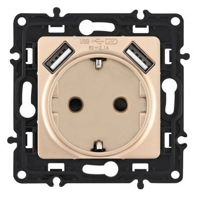 Розетка с заземлением и со шторкой и 2хUSB, без рамки Arte Milano am-217 217.47-1.shampan
