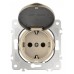 Розетка влагозащищенная с заземлением и со шторкой с крышкой Arte Milano am-202 202.41-1.shampan