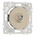 ТВ-розетка без рамки Arte Milano am-202 202.42-1.shampan