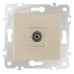 ТВ-розетка без рамки Arte Milano am-203 203.43-1.shampan