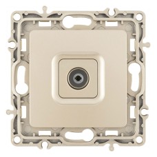 ТВ-розетка без рамки Arte Milano am-217 217.43-1.shampan