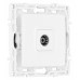 ТВ-розетка без рамки Arte Milano am-217 217.43-1.white