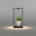 Настольная лампа Artemide Curiosity 36