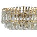 Подвесная люстра Arti Lampadari Elite Erice E 1.5.40.100 G