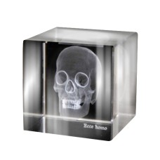 Аксессуар Ateliers C&S Davoy Skull 3D Large