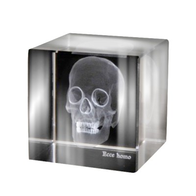 Аксессуар Ateliers C&S Davoy Skull 3D Large