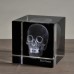 Аксессуар Ateliers C&S Davoy Skull 3D Large