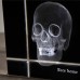 Аксессуар Ateliers C&S Davoy Skull 3D Large