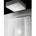 Настенный/Потолочный светильник Axo Light PL NEL 100 White