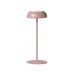 Настольная лампа Axo Light Float Mauve Dust