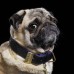 Ошейник Buster and Punch Dog Collar Brass
