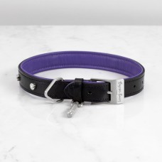 Ошейник Buster and Punch Dog Collar Steel