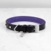 Ошейник Buster and Punch Dog Collar Steel