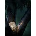 Уличный светильник Catellani & Smith More 0 transparent