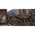 Поднос Cattelan Italia Lazy Susan