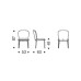 Стул Cattelan Italia Chris Burned Oak/Nardò