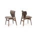 Стул Cattelan Italia Dumbo Canaletto Argo
