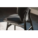 Стул Cattelan Italia Dumbo Canaletto Argo