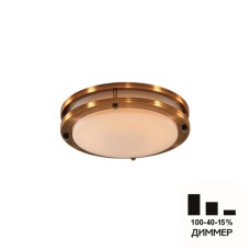 Настенно-потолочный светильник Citilux Бостон CL709203N