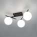 Настенно-потолочный светильник Citilux Dorsy CL223132