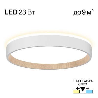Потолочный светильник Citilux Etalon CL750240