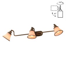 Спот Citilux Прованс CL511533