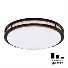 Настенно-потолочный светильник Citilux Бостон CL709505N
