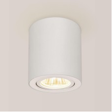 Потолочный светильник Citilux Дюрен CL538111