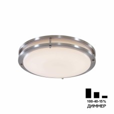 Настенно-потолочный светильник Citilux Бостон CL709321N