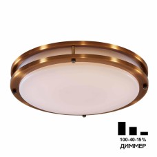 Настенно-потолочный светильник Citilux Бостон CL709503N