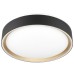 Потолочный светильник Citilux Boss CL751251G