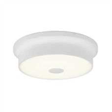 Потолочный светодиодный светильник Citilux Фостер-2 CL706210