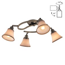Спот Citilux Прованс CL511143
