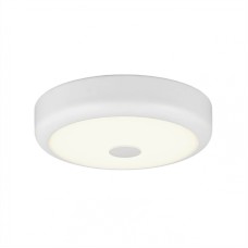 Потолочный светодиодный светильник Citilux Фостер-1 CL706120
